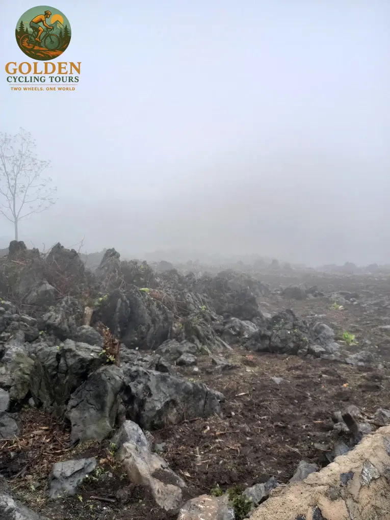 3-Day Thai Nguyen Backroad Cycling Tour: Ban Ten, Tea Hills & Nui Coc